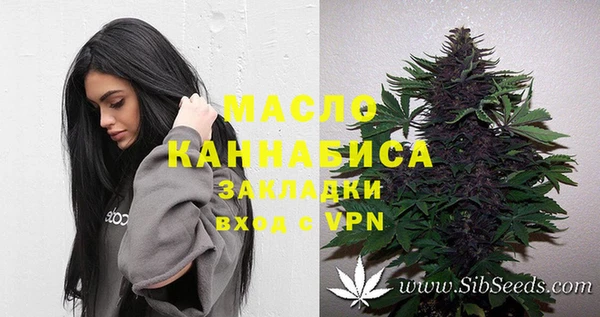 шишки Армянск