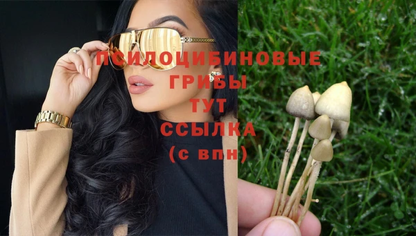 МДПВ Аркадак