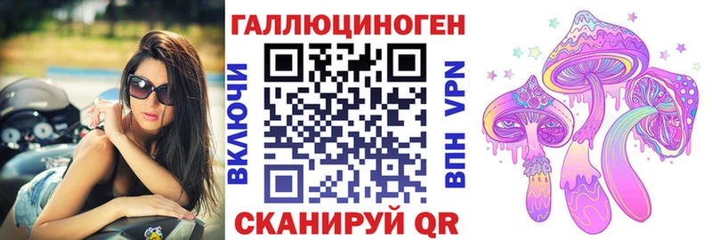 дарнет шоп  Сегежа  Галлюциногенные грибы GOLDEN TEACHER 